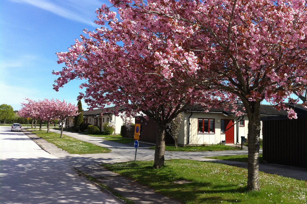Poppelgatan 16, 621 44, Visby